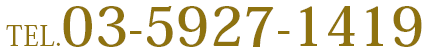 TEL:03-5927-1419